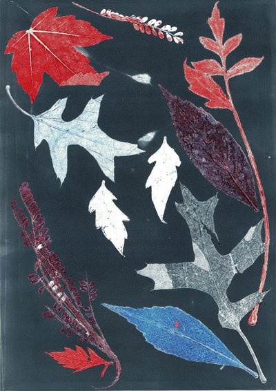 Jol X, 2017 (monoprint op papier) door Stephen Dow