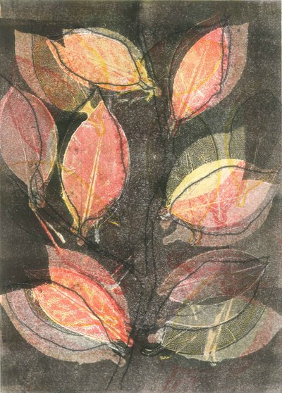 Midnight Garden V, 2015 (monoprint op papier) door Stephen Dow