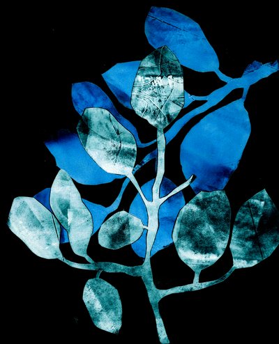 Nachtelijke tuin, 2017 (digitaal, van een collagraph) door Stephen Dow