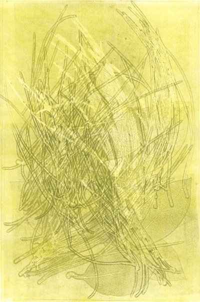 Zomertuin V, 2015 (monoprint op papier) door Stephen Dow