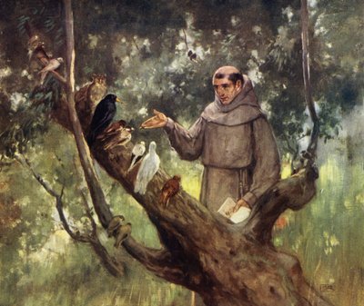 Sint-Franciscus predikt tot de vogels door Stephen Reid