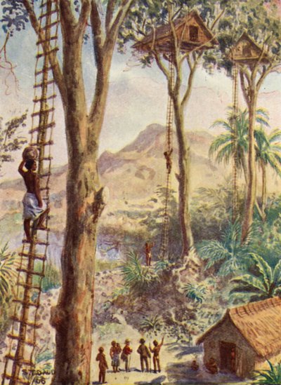 Illustratie van het leven van bisschop Patteson (kleurenlitho) door Stephen T. Dadd