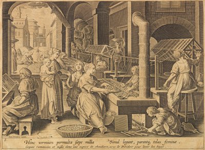 Zijde-extractie Vermis sericus, na 1640 door Stradanus