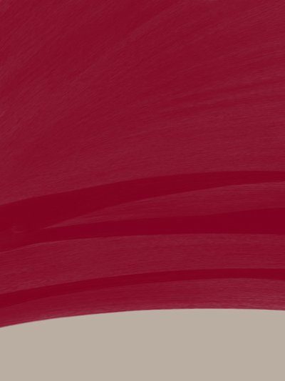 Kastanjebruin kleurveld door Studio Palette