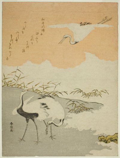 Kraanvogels aan de kust door Suzuki Harunobu