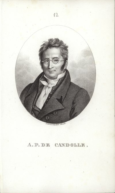 Augustin Pyramus de Candolle door Swiss School
