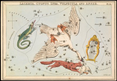 Lacerta, Cygnus, Lyra, Vulpecula en Anser, ca. 1825 door Sydney Hall