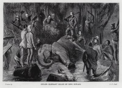 Olifant gedood door Koning Edward VII door Sydney Prior (after) Hall