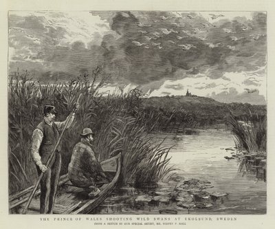 De Prins van Wales schiet wilde zwanen in Ekolsund, Zweden door Sydney Prior Hall
