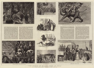 De tour van de Prins van Wales in India door Sydney Prior Hall