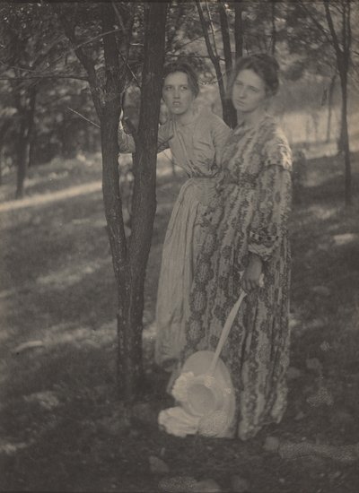 In de bossen,c. 1899 (foto) door T. M. Edmiston