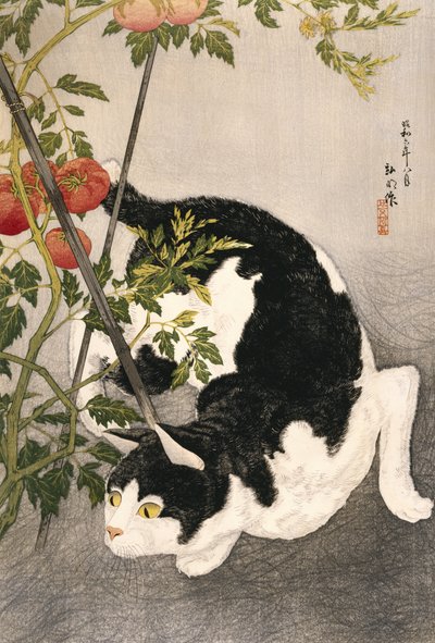 Kat sluipt rond een tomatenplant, 1931 door Takahashi Hiroaki