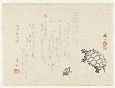 Twee schildpadden door Tani Bunji