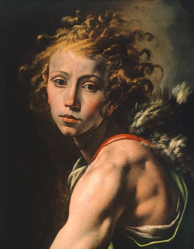 Figuur van David (detail) door Tanzio da Varallo