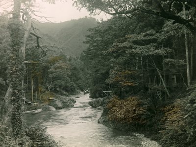 Herfstbos in de Yamanaka regio, circa 1900 - 1915 (foto) door Teijiro Takagi
