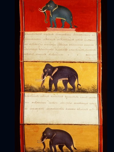 Folio uit een manuscript over olifantentraining (pen en inkt en wc op papier) door Thai School