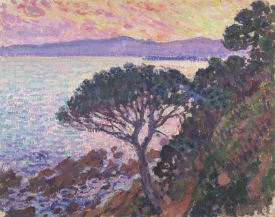  door Théo van Rysselberghe