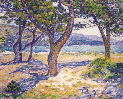 De Middellandse Zee bij Le Lavandou door Théo van Rysselberghe