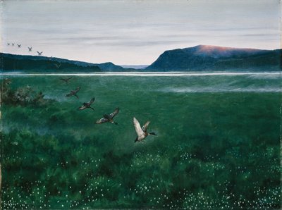 De twaalf wilde eenden door Theodor Kittelsen