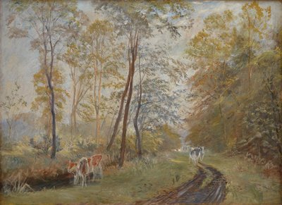 De rivier Sorteaa bij Mejlgaard Manor, Jutland door Theodor Philipsen