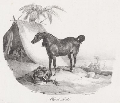 Arabisch paard (An Arabian Horse) door Theodore Gericault