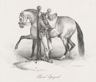 Spaans paard (A Spanish Horse) door Theodore Gericault