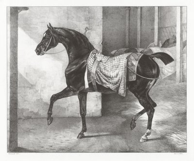  door Theodore Gericault
