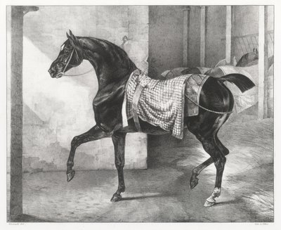  door Theodore Gericault