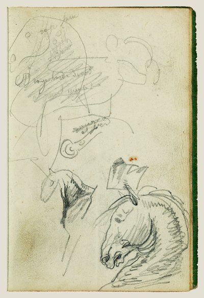 Onderzoek naar paarden door Theodore Gericault