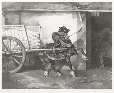 Het paard van de stukadoor (The Plasterer