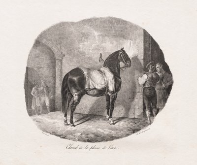 Lithografische Studies van Paarden: Pl. 7, Paard van de Caen-vlakte door Theodore Gericault