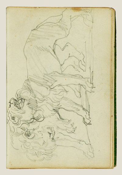 Twee leeuwen door Theodore Gericault
