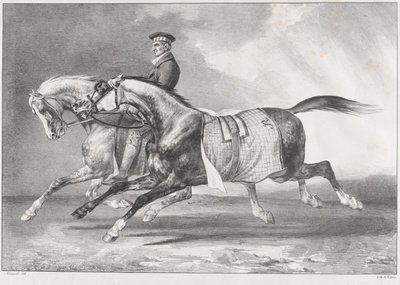 Twee grijsgevlekte paarden die worden getraind door Theodore Gericault