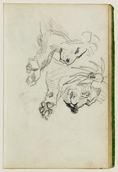 Twee onderzoeken naar leeuwen door Theodore Gericault