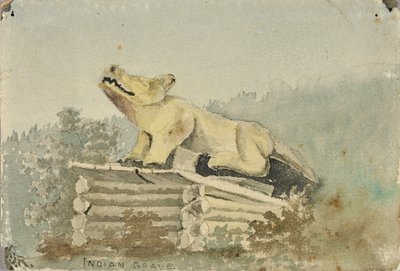 Indiaans graf. Wolf Totem boven Medicijnman Graf, Wrangell door Theodore J. Richardson