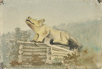 Indiaans Graf. Wolf Totem boven Medicijnman Graf, Wrangell, ca. 1880-1914 door Theodore J. Richardson