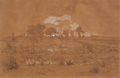 Avondlandschap met een moeras door Theodore Rousseau
