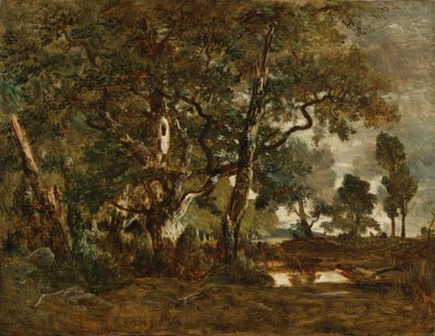Bos van Fontainebleau, groep hoge bomen met uitzicht op de Clair-Bois vlakte aan de rand van Bas-Bréau door Theodore Rousseau