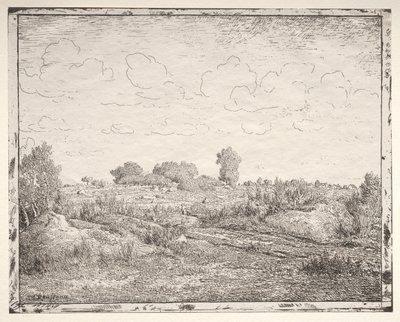 La Plaine de la Plante à Biau door Theodore Rousseau