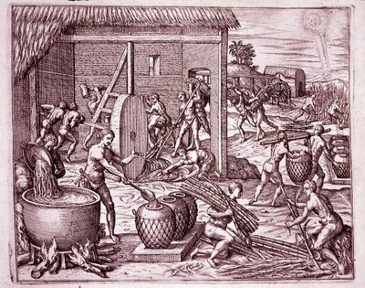 Geschiedenis van Amerika: suikerriet oogsten en suikerproductie door Indiase slaven die werken voor de Spaanse conquistadores (Gravure) door Theodore de Bry