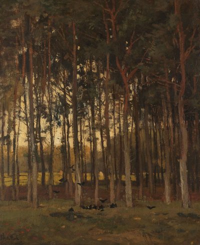  door Theophile de Bock