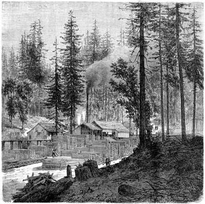 Zaagmolen, Californië, 19e eeuw door Theroud