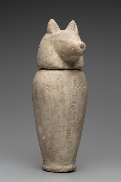 Canopische kruik met jakhalzenkop (kalksteen) door Third Intermediate Period Egyptian