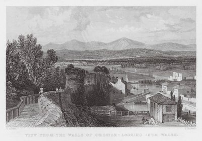 Uitzicht vanaf de muren van Chester, kijkend naar Wales (gravure) door Thomas (after) Allom