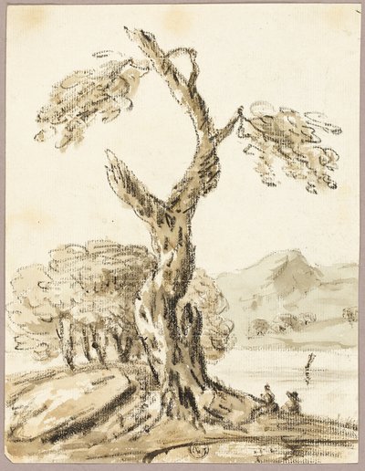 Grote boom met meer en bergen op achtergrond door Thomas Barker