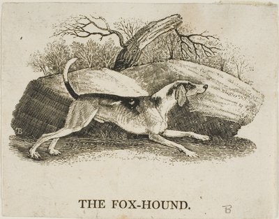 Vosshond door Thomas Bewick