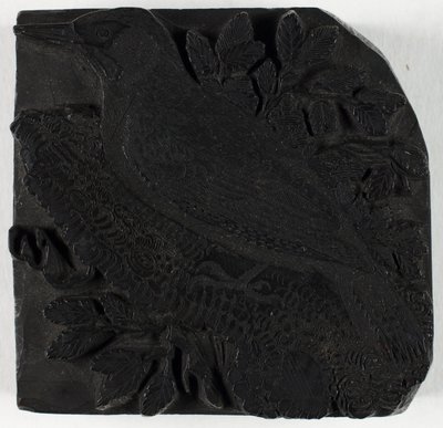  door Thomas Bewick