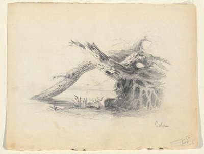Schets van twee dode bomen door Thomas Cole