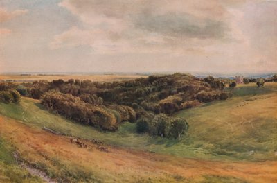 Arundel Park, 1874 door Thomas Collier