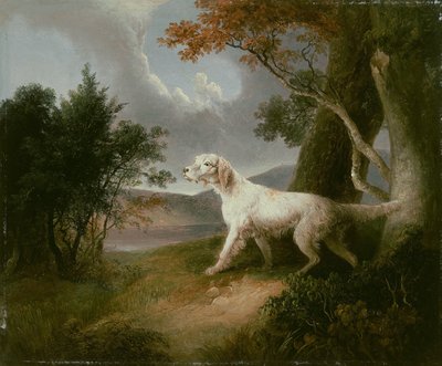 Landschap met hond door Thomas Doughty